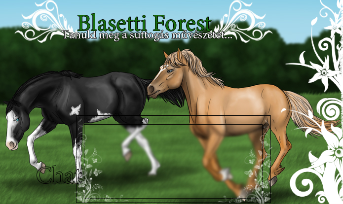 Blasetti Forest - s Ranch